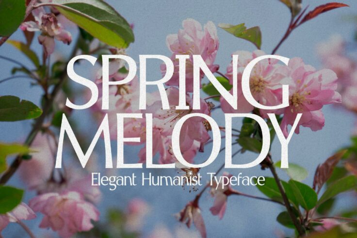 View Information about Spring Melody Font