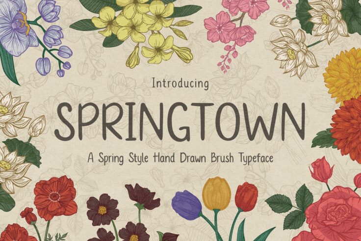 View Information about Springtown Hand-Drawn Brush Font