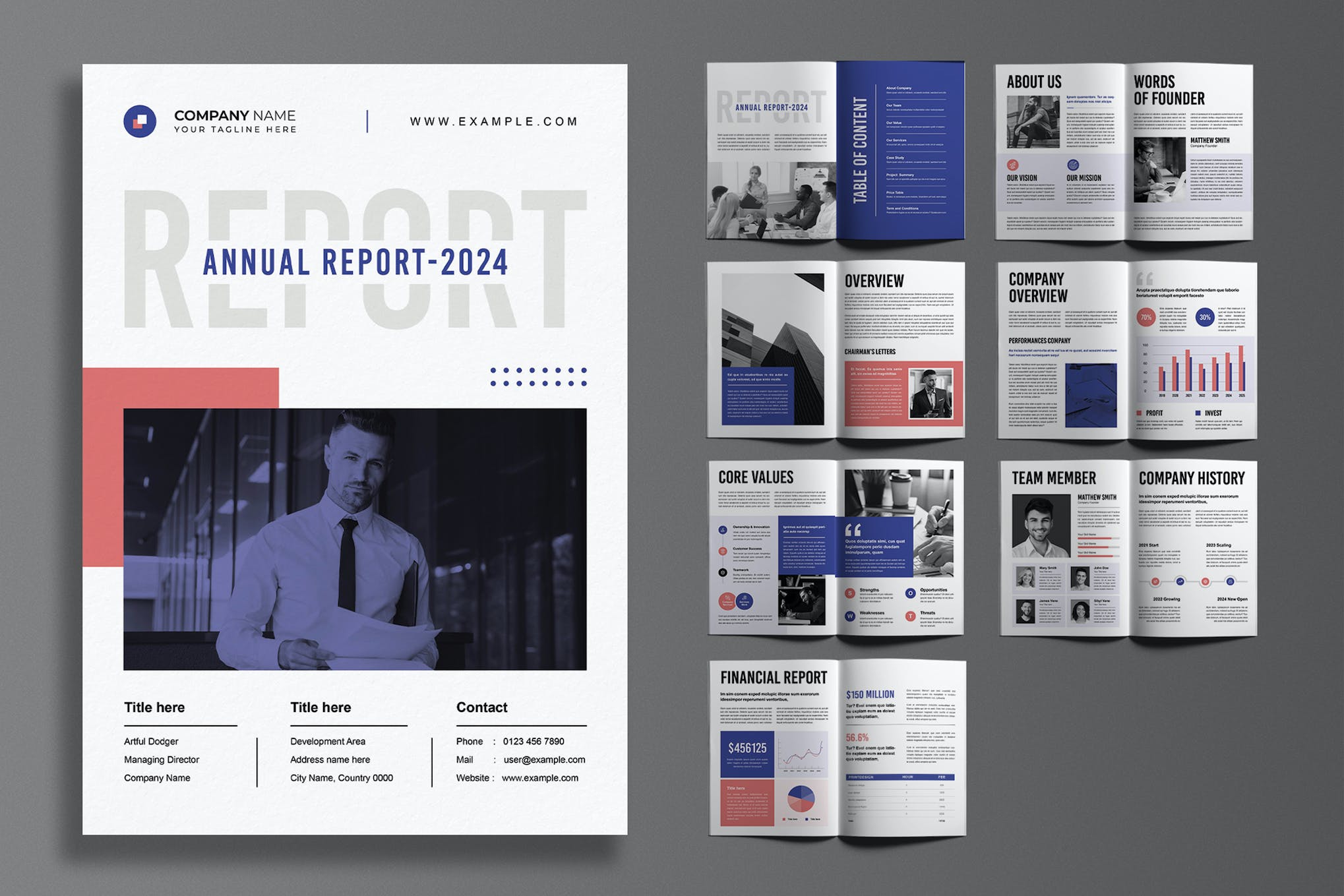 Stylish InDesign Annual Report Template