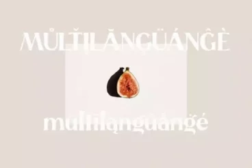 First alternate image for Tangelo Elegant Modern Typeface