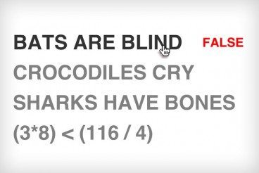 Build a Fun True or False Quiz With CSS