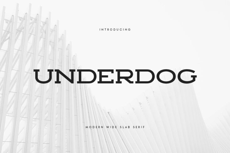 View Information about UNDERDOG Modern Wide Slab Serif Font