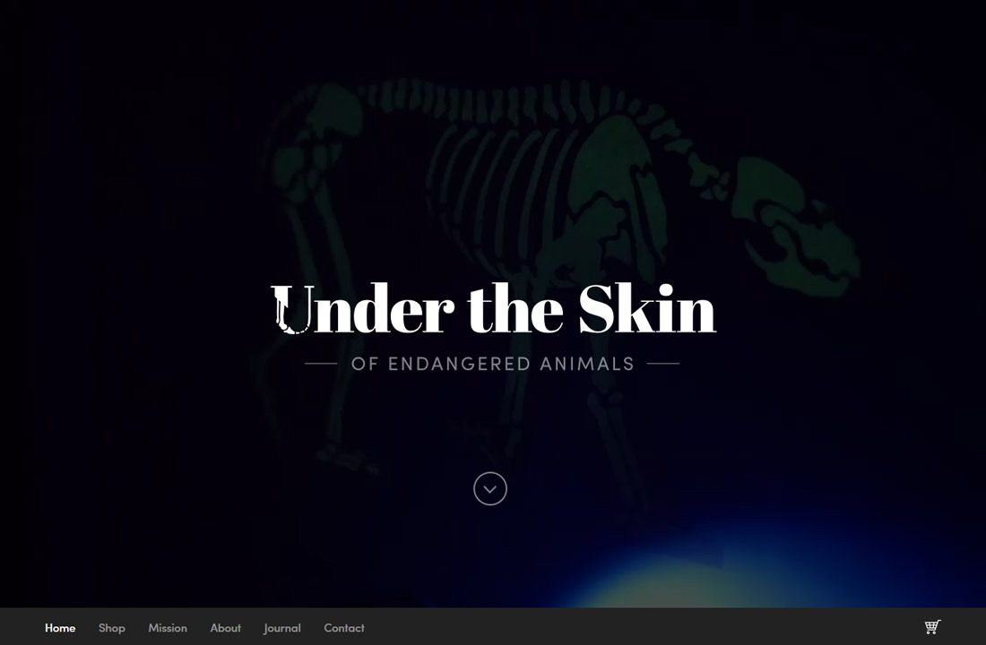 underskin 3 Web Design Rules You Should Actually Try to Break design tips 