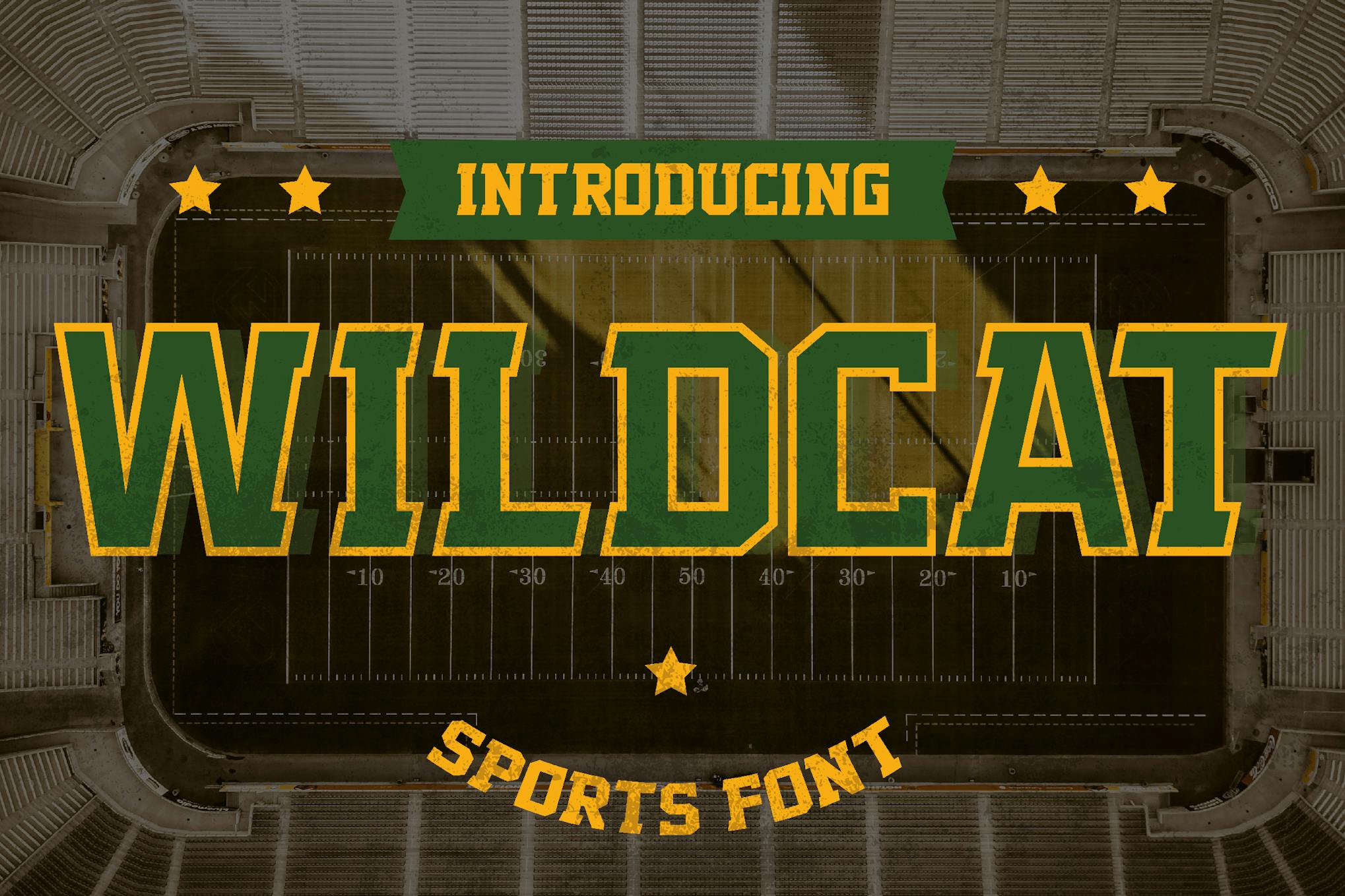 Wildcat - College Sport Font 