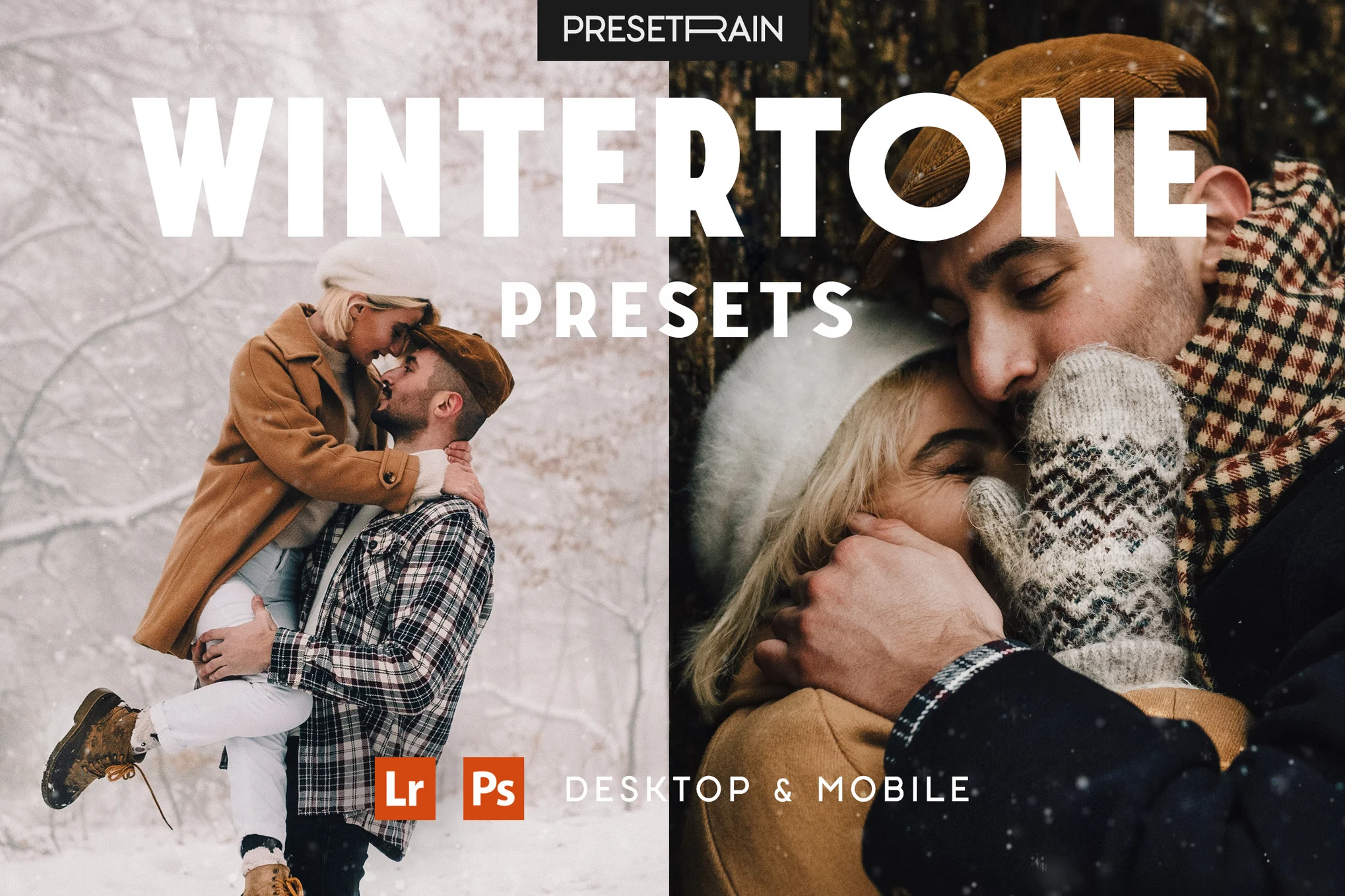 Wintertone Lightroom Mobile Presets