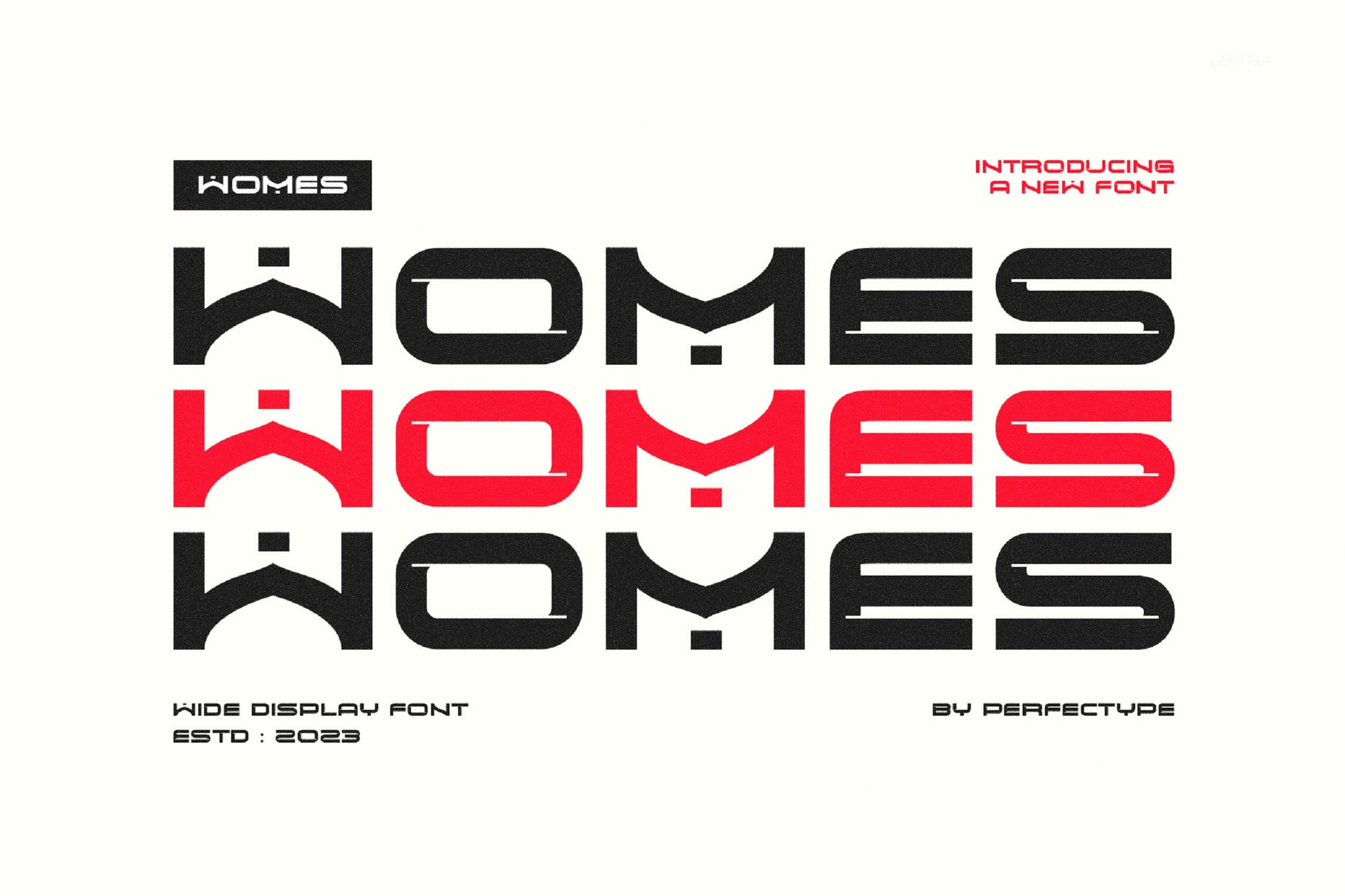 Womes Modern - Futuristic Small Caps Font