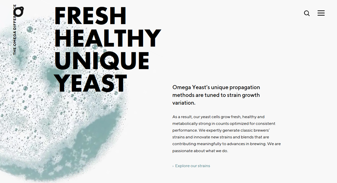 yeast Is Your Website Font Size Too Small? Large Text Is In design tips 