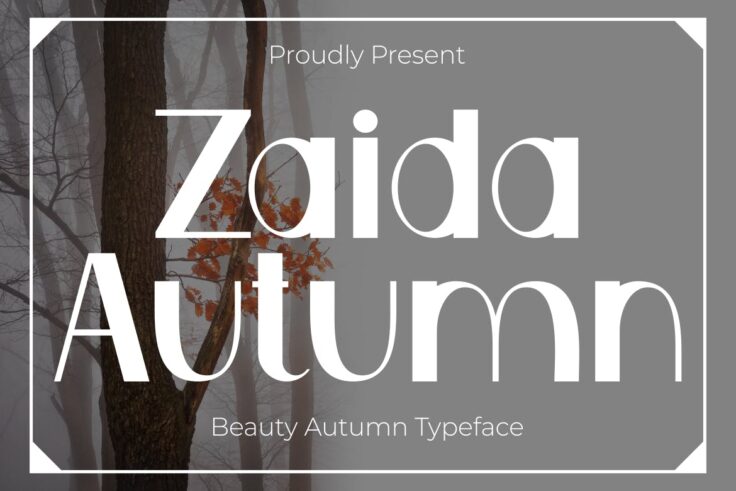 View Information about Zaida Font